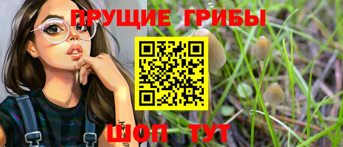 Псилоцибиновые грибы прущие грибы Симферополь
